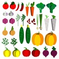 Paper vegetables flat style set on a background. Vector EPS 10