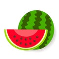 Paper watermelon icon on white background vector