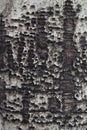 Paper white birch tree bark with holes Royalty Free Stock Photo