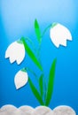 Paper white tulip blue background Royalty Free Stock Photo