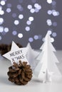 Paper work Christmas and new year star card on pine cones decora