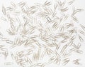 Paperclips on white Royalty Free Stock Photo