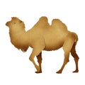 Papercut Camel Recycled Paper Royalty Free Stock Photo