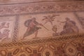 Paphos mosaic