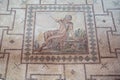 Paphos, Paphos District, Cyprus - Decorated floors with mosaic tiles with ancient Greek mythology