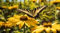 Two-Tailed Swallowtail Butterfly