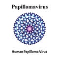 Papilloma is a human virus structure. Papilloma virus infection. Sexually transmitted diseases. Infographics. Vector