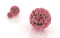 Papilloma virus Royalty Free Stock Photo