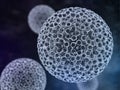 Papilloma Virus. HPV Royalty Free Stock Photo