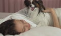 Papillon dog wakes teen girl in the bed Royalty Free Stock Photo