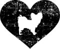 Papillon in heart black and white