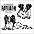 Papillon - vector set isolated illustration on white background