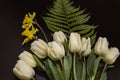 Yellow daffodils and white tulips on a green fern leaf lies on a black background Royalty Free Stock Photo
