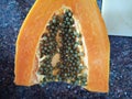 Pappaya seeds Royalty Free Stock Photo
