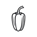 Paprica bell pepper flat vector material design isolated on white