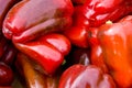 Paprika background Royalty Free Stock Photo