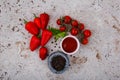 Paprika , black pepper , tomatoes and tomato paste. Royalty Free Stock Photo