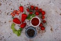 Paprika , black pepper , tomatoes and tomato paste. Royalty Free Stock Photo