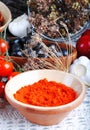 red pepper powder Royalty Free Stock Photo