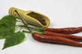Paprika powder in a scoop wooden spoon Royalty Free Stock Photo