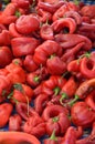 Paprika Royalty Free Stock Photo