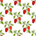 Paprika red pepper spice seamless pattern