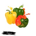 Paprika red, yellow, orange and green peppers isolated on white. Pungent pepper called sweet pepper. Cultivar of the species Royalty Free Stock Photo