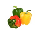 Paprika red, yellow, orange and green peppers isolated on white. Pungent pepper called sweet pepper. Cultivar of the species Royalty Free Stock Photo