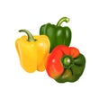 Paprika red, yellow, orange and green peppers isolated on white. Pungent pepper called sweet pepper. Cultivar of the species Royalty Free Stock Photo