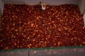 Paprika, sweet bell or hot red dry chily pepper flavoring texture, spicy piquant seasoning, cooking ingredient with seeds