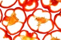 Paprika sweet pepper isolated slices red