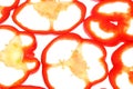 Paprika sweet pepper isolated slices red