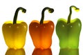 Paprikas three colors Royalty Free Stock Photo