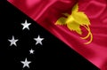 Papua new guinea flag illustration Royalty Free Stock Photo