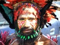 Papua Warrior Royalty Free Stock Photo