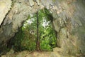 Papuan jungle seen from cave on Biak Island