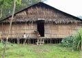 Papuan kids in front of traditional house