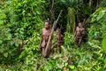 The Papuans Korowai kombai (Kolufo) with bow and arrows Royalty Free Stock Photo