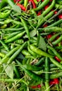 Popular Green chilies background images With multi color Green, Brown, Black, Read, and with there Green Leaves, Nature Fresh Royalty Free Stock Photo