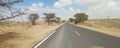 An papules desert nature Bikaner and Street scene from Bikaner khajuwala Rajasthan