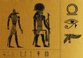 Papyrus of Egypt Royalty Free Stock Photo