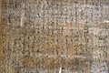 Papyrus of old ancient egyptian book of dead