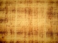 Papyrus paper pattern Royalty Free Stock Photo