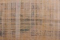 Papyrus texture. papyrus closeup. pure papyrus Royalty Free Stock Photo