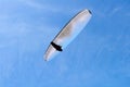 Para glider flying above the dunes en beach having fun and a great adventure.