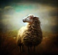 Lost sheep parable
