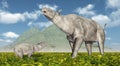 Paraceratherium Royalty Free Stock Photo