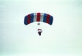 Parachute jump by veterans Royalty Free Stock Photo