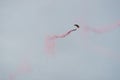 Parachutist in the sky on a cloudy day Royalty Free Stock Photo