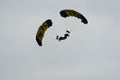 Parachutist in the sky on a cloudy day Royalty Free Stock Photo